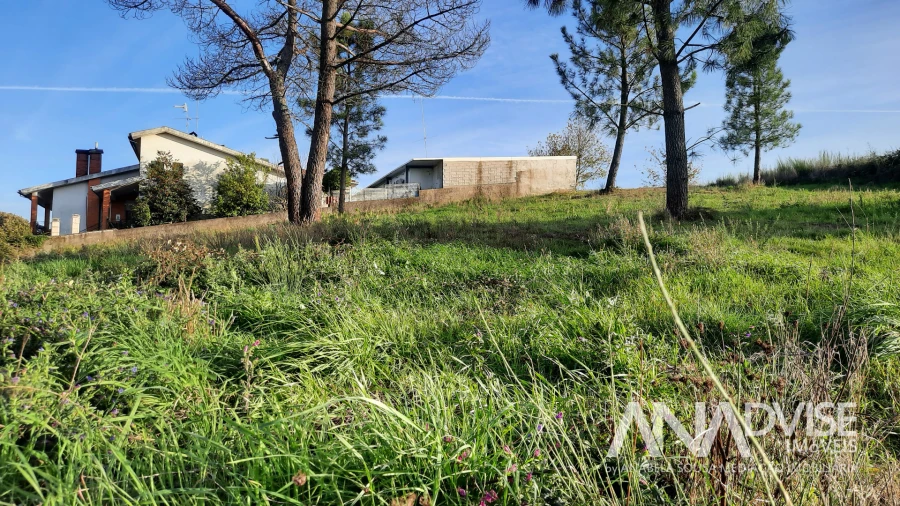 Terreno para Venda em Viseu Foto 8