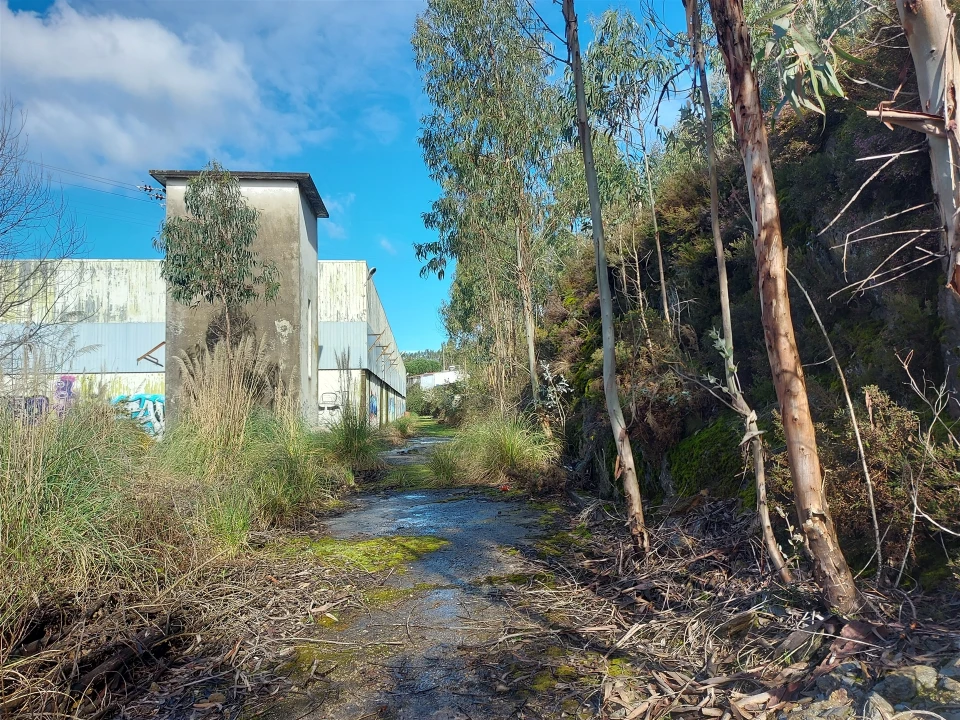 Terreno para Venda em Fânzeres e São Pedro da Cova Foto 17