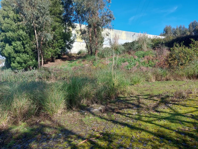 Terreno para Venda em Fânzeres e São Pedro da Cova Foto 42