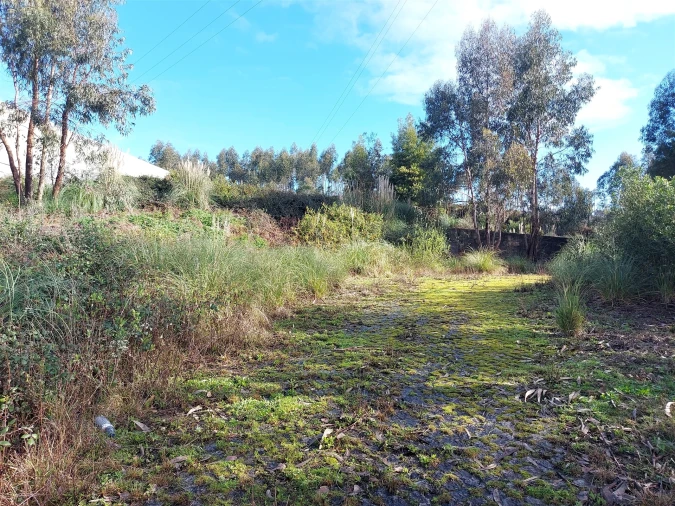 Terreno para Venda em Fânzeres e São Pedro da Cova Foto 10