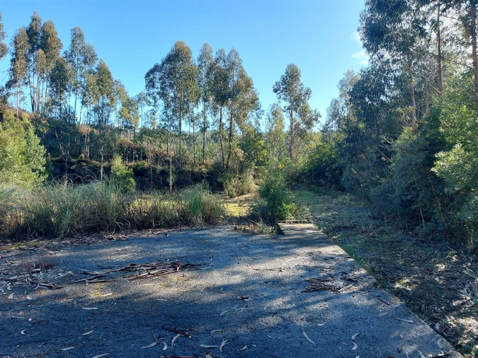 Terreno para Venda em Fânzeres e São Pedro da Cova Foto 36