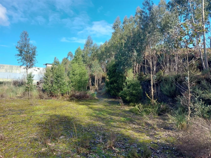 Terreno para Venda em Fânzeres e São Pedro da Cova Foto 14
