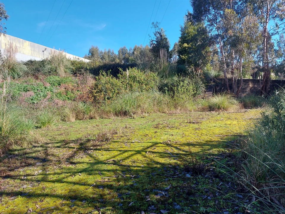 Terreno para Venda em Fânzeres e São Pedro da Cova Foto 6