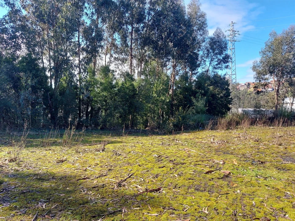 Terreno para Venda em Fânzeres e São Pedro da Cova Foto 45