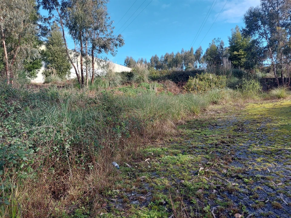 Terreno para Venda em Fânzeres e São Pedro da Cova Foto 9