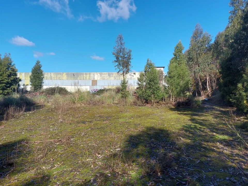 Terreno para Venda em Fânzeres e São Pedro da Cova Foto 47