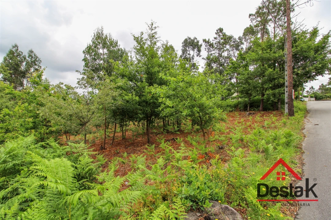 Terreno para Venda em São Pedro do Sul, Várzea e Baiões Foto 3
