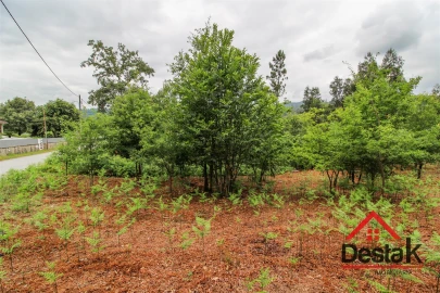 Terreno para Venda em São Pedro do Sul, Várzea e Baiões