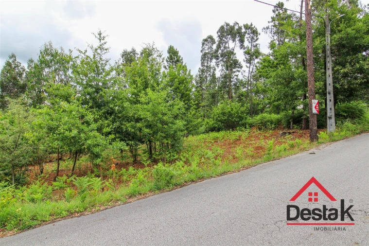 Terreno para Venda em São Pedro do Sul, Várzea e Baiões Foto 2
