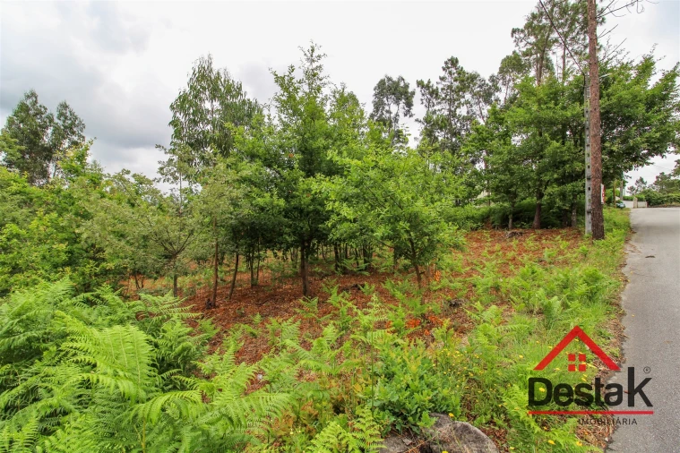 Terreno para Venda em São Pedro do Sul, Várzea e Baiões Foto 3