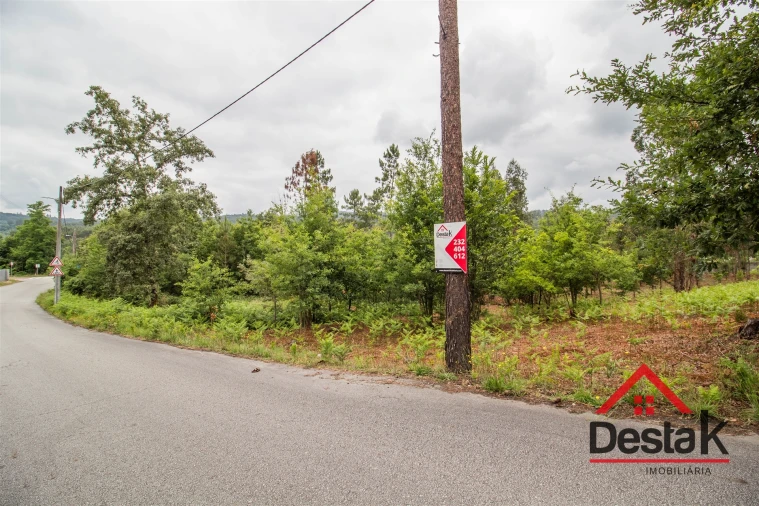 Terreno para Venda em São Pedro do Sul, Várzea e Baiões Foto 1