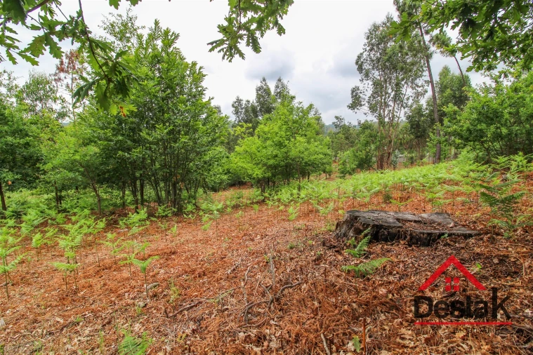Terreno para Venda em São Pedro do Sul, Várzea e Baiões Foto 7