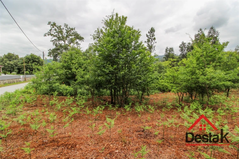 Terreno para Venda em São Pedro do Sul, Várzea e Baiões Foto 6