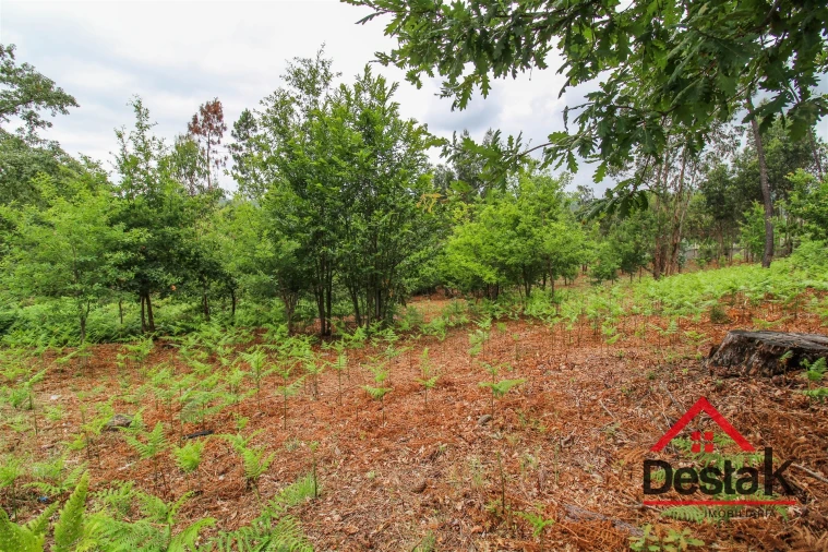Terreno para Venda em São Pedro do Sul, Várzea e Baiões Foto 8