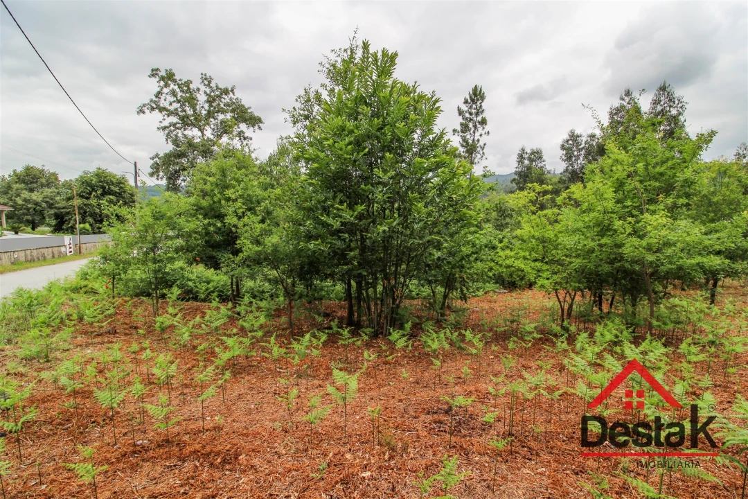 Terreno para Venda em São Pedro do Sul, Várzea e Baiões Foto 6