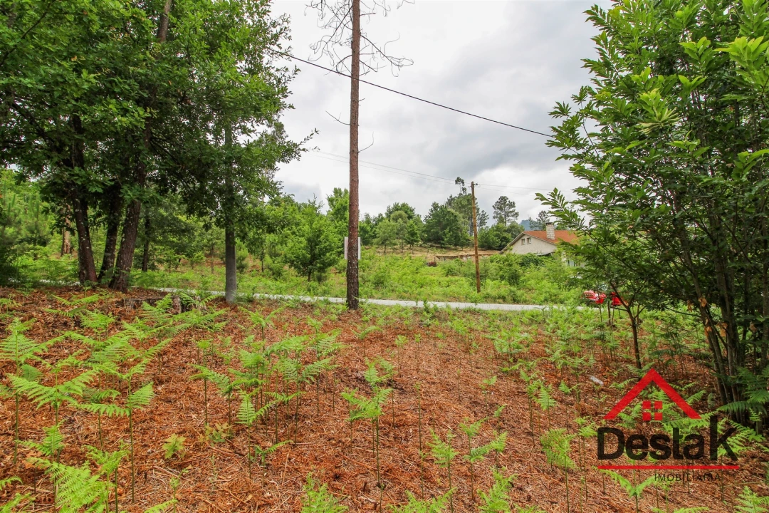 Terreno para Venda em São Pedro do Sul, Várzea e Baiões Foto 4