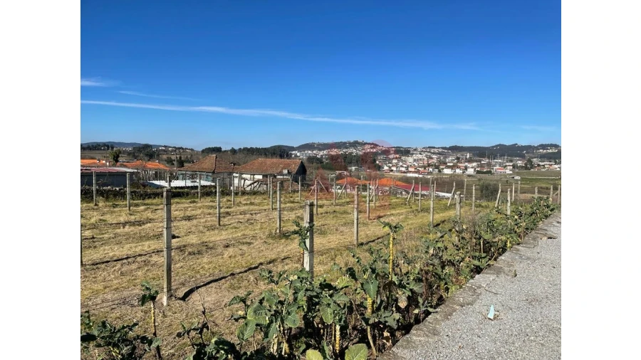 Moradia T4 para Venda em Refontoura Foto 16