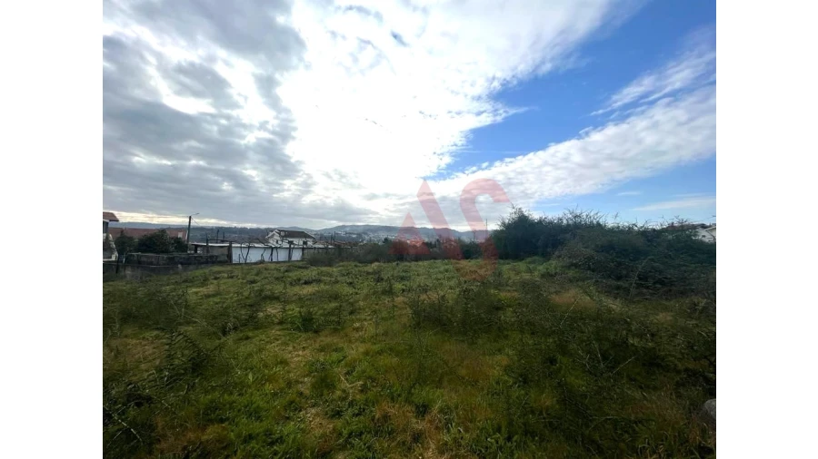 Terreno para Venda em Vila das Aves Foto 5