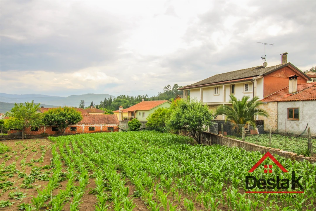 Terreno Agricola ou Rústico para Venda em Destriz e Reigoso Foto 1