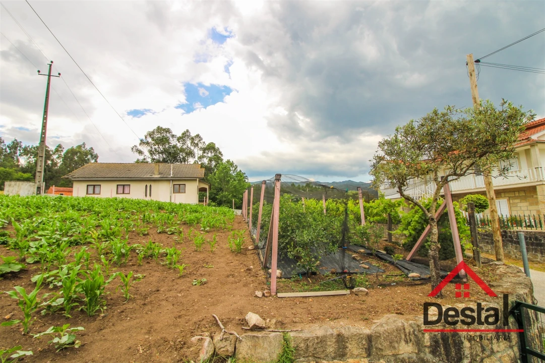 Terreno Agricola ou Rústico para Venda em Destriz e Reigoso Foto 4