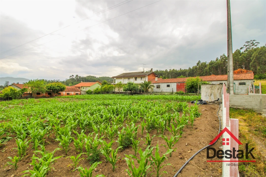 Terreno Agricola ou Rústico para Venda em Destriz e Reigoso Foto 6