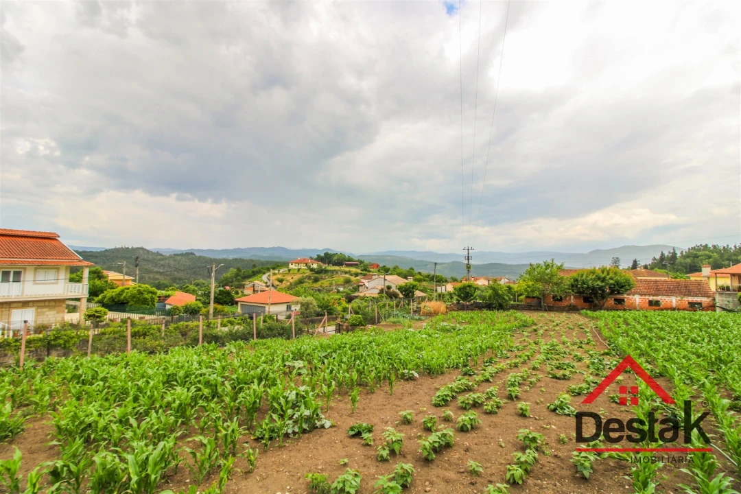 Terreno Agricola ou Rústico para Venda em Destriz e Reigoso Foto 2