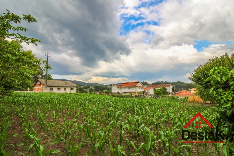 Terreno Agricola ou Rústico para Venda em Destriz e Reigoso Foto 8
