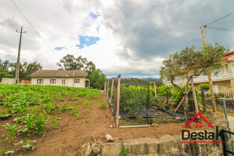 Terreno Agricola ou Rústico para Venda em Destriz e Reigoso Foto 4