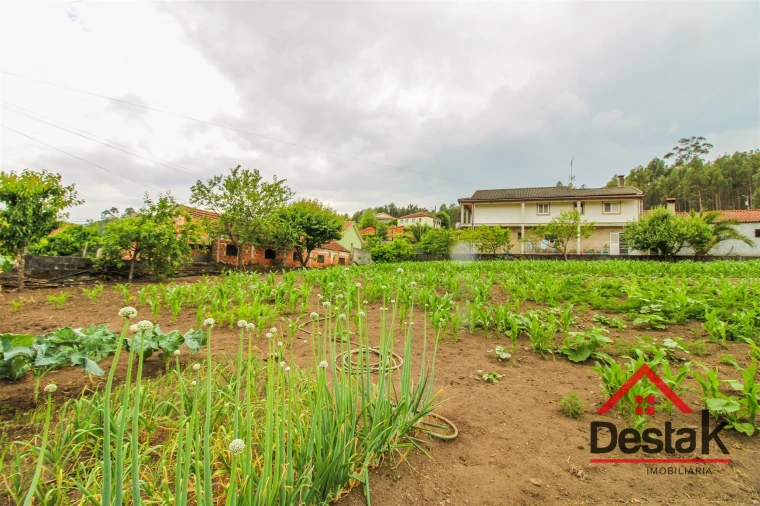 Terreno Agricola ou Rústico para Venda em Destriz e Reigoso Foto 5