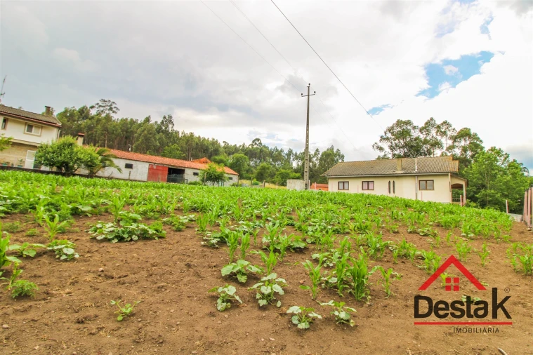 Terreno Agricola ou Rústico para Venda em Destriz e Reigoso Foto 3