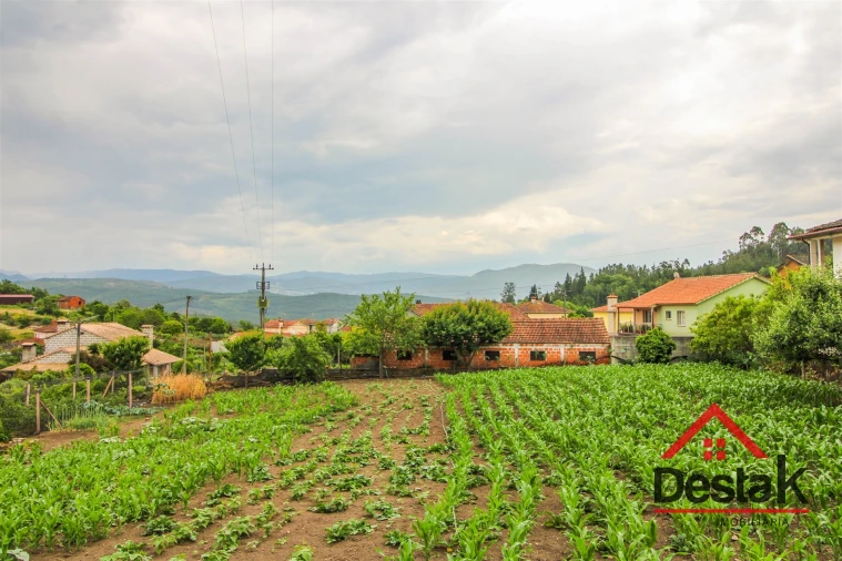 Terreno Agricola ou Rústico para Venda em Destriz e Reigoso Foto 7