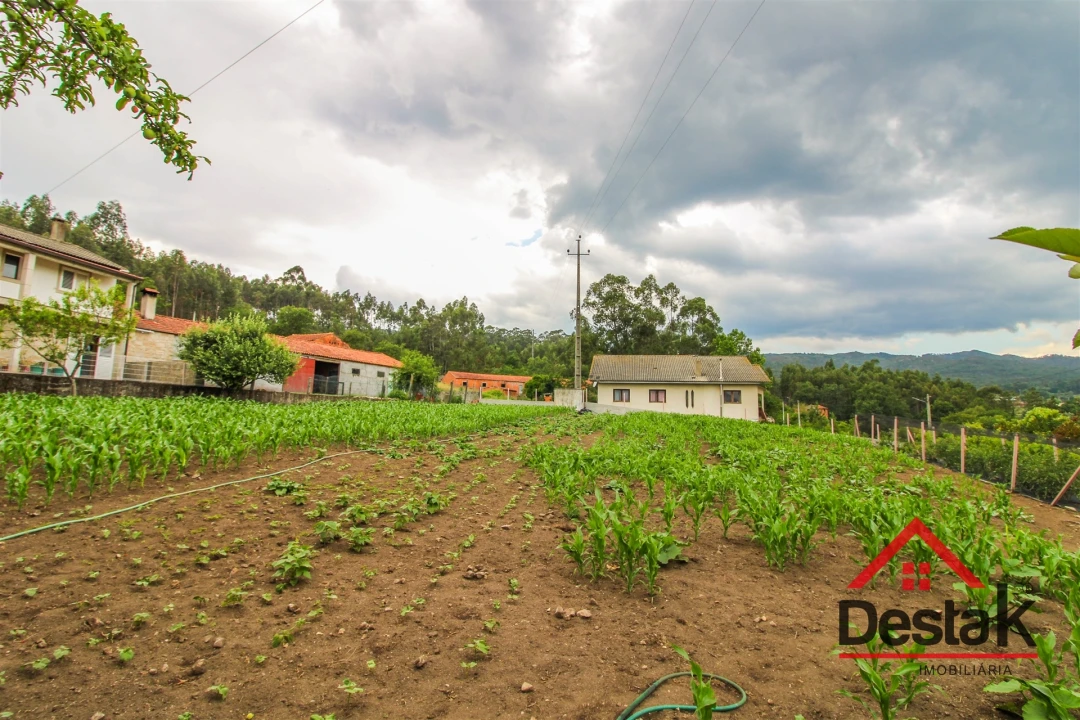 Terreno Agricola ou Rústico para Venda em Destriz e Reigoso Foto 9