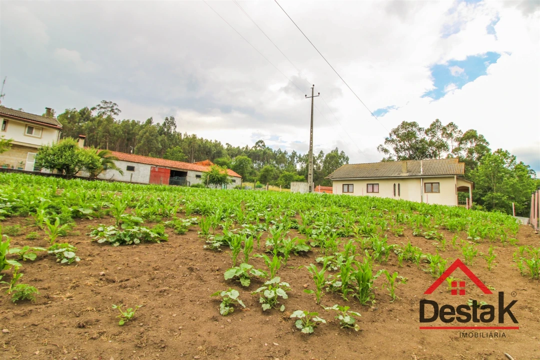 Terreno Agricola ou Rústico para Venda em Destriz e Reigoso Foto 3