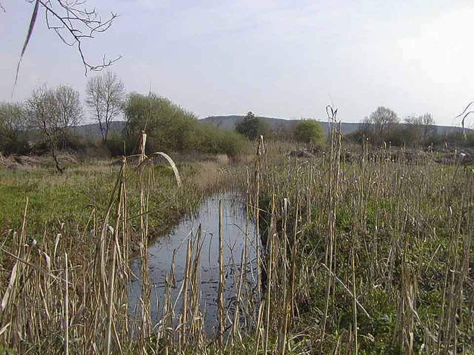 Quinta T0 para Venda em Soure Foto 5