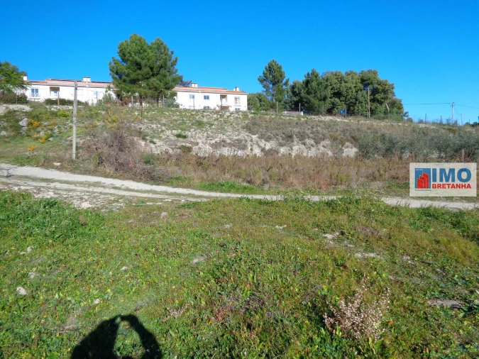 Terreno para Venda em Teixoso e Sarzedo Foto 4