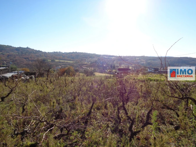 Terreno para Venda em Teixoso e Sarzedo Foto 2