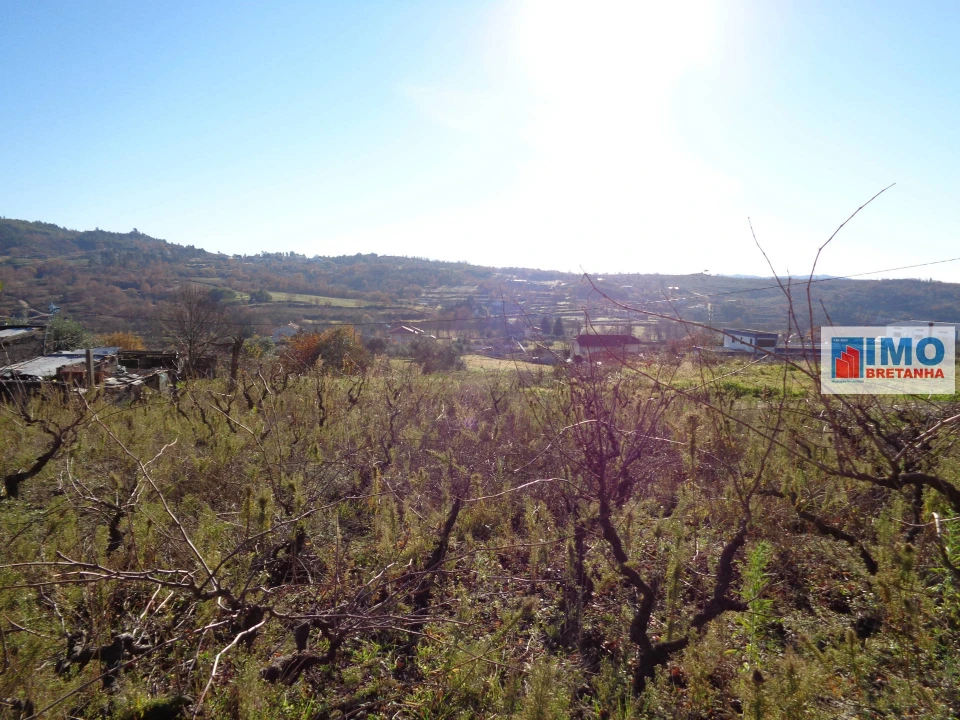 Terreno para Venda em Teixoso e Sarzedo Foto 2