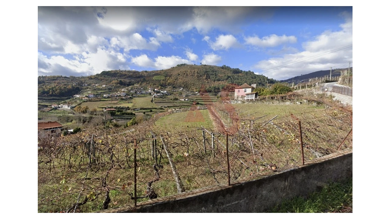 Terreno para Venda em Santa Marinha do Zezere Foto 2
