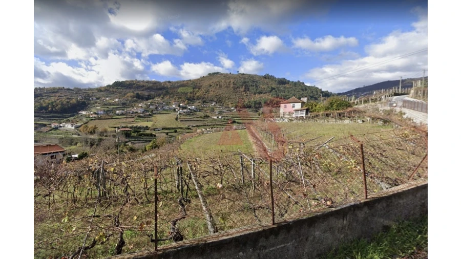 Terreno para Venda em Santa Marinha do Zezere Foto 2