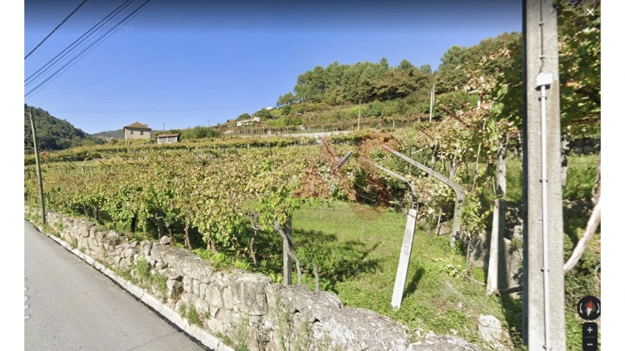 Terreno para Venda em Santa Marinha do Zezere Foto 1