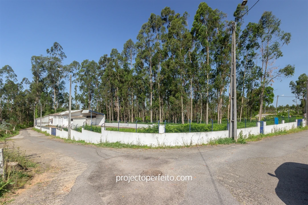Armazém para Venda em Valega Foto 14