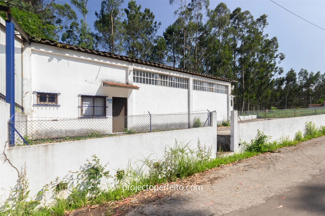 Armazém para Venda em Valega Foto 3