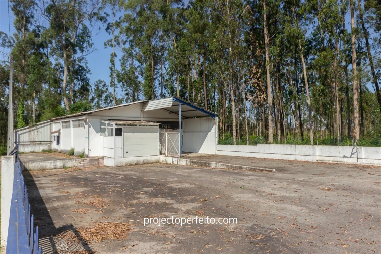 Armazém para Venda em Valega Foto 5