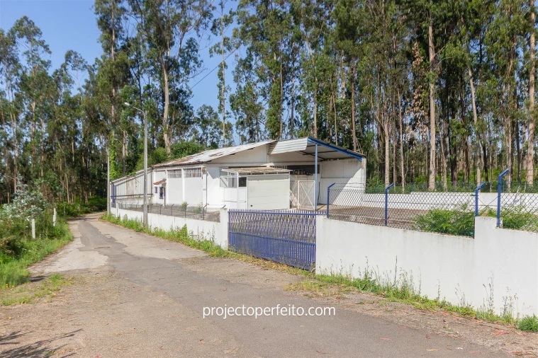 Armazém para Venda em Valega