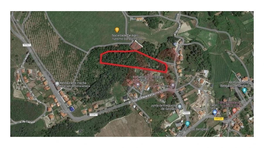 Terreno para Venda em Gestaço Foto 1