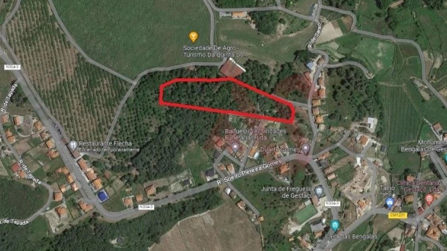 Terreno para Venda em Gestaço