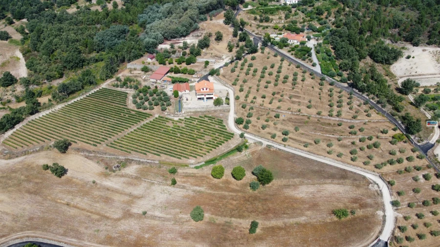 Quinta T4 para Venda em Teixoso e Sarzedo Foto 6
