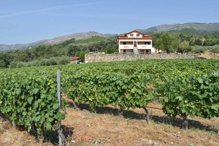 Quinta T4 para Venda em Teixoso e Sarzedo Foto 2