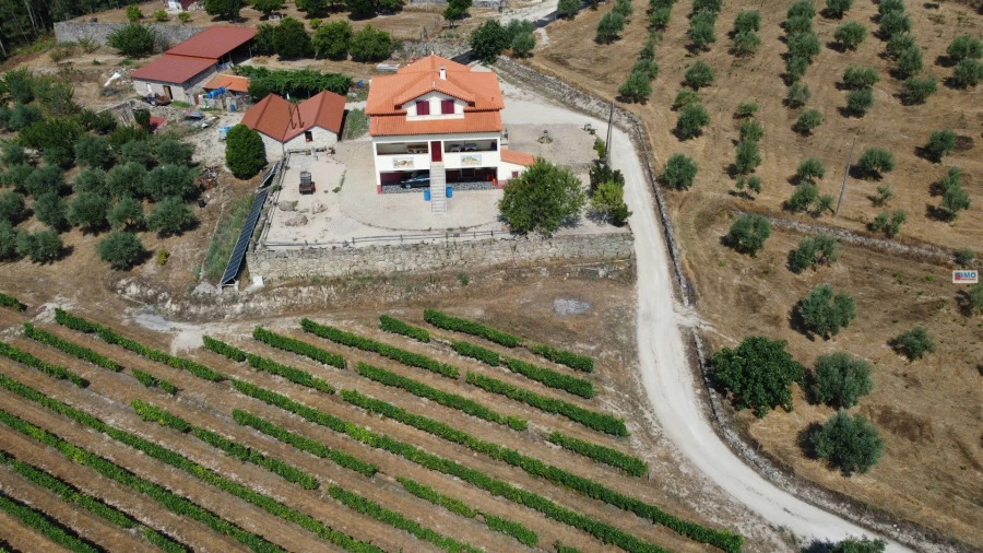 Quinta T4 para Venda em Teixoso e Sarzedo Foto 4