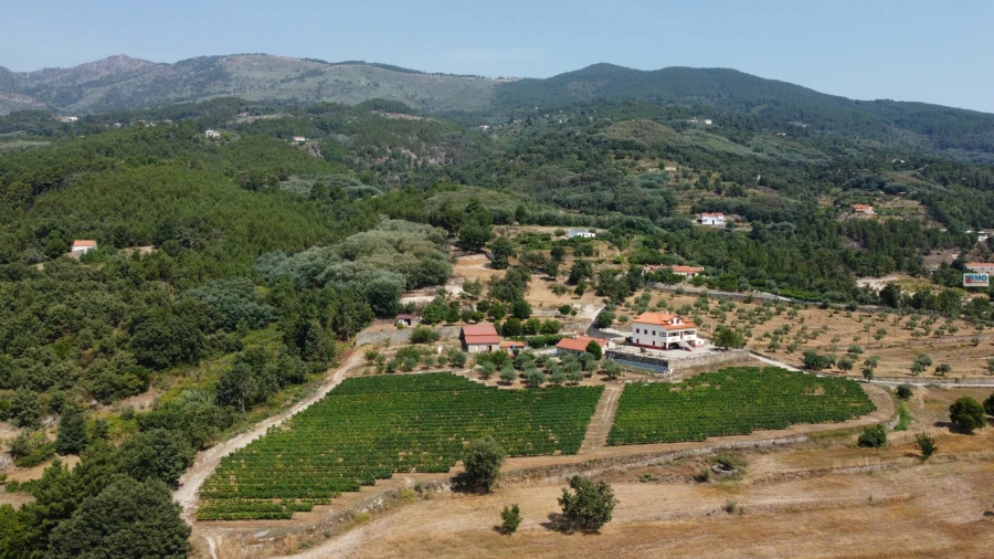 Quinta T4 para Venda em Teixoso e Sarzedo Foto 5